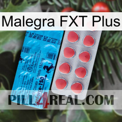 Malegra FXT Plus new14